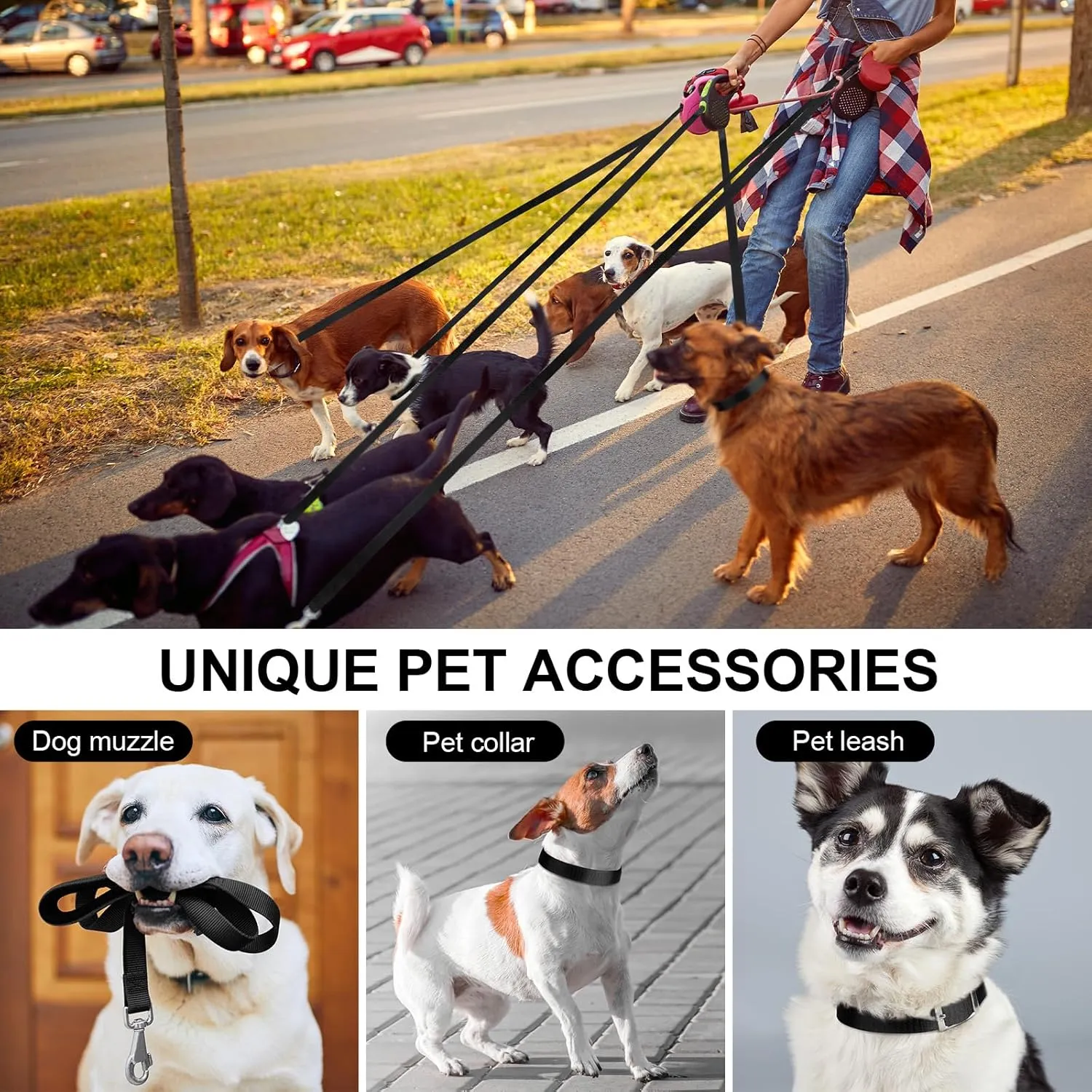 2 Rolls 1 Inch Nylon Webbing Strap 98 Yards Heavy Duty Flat Webbing Strap for Dog Leash Seat Belt Climbing Outdoors Indoors Gear Crafting DIY Making Repair