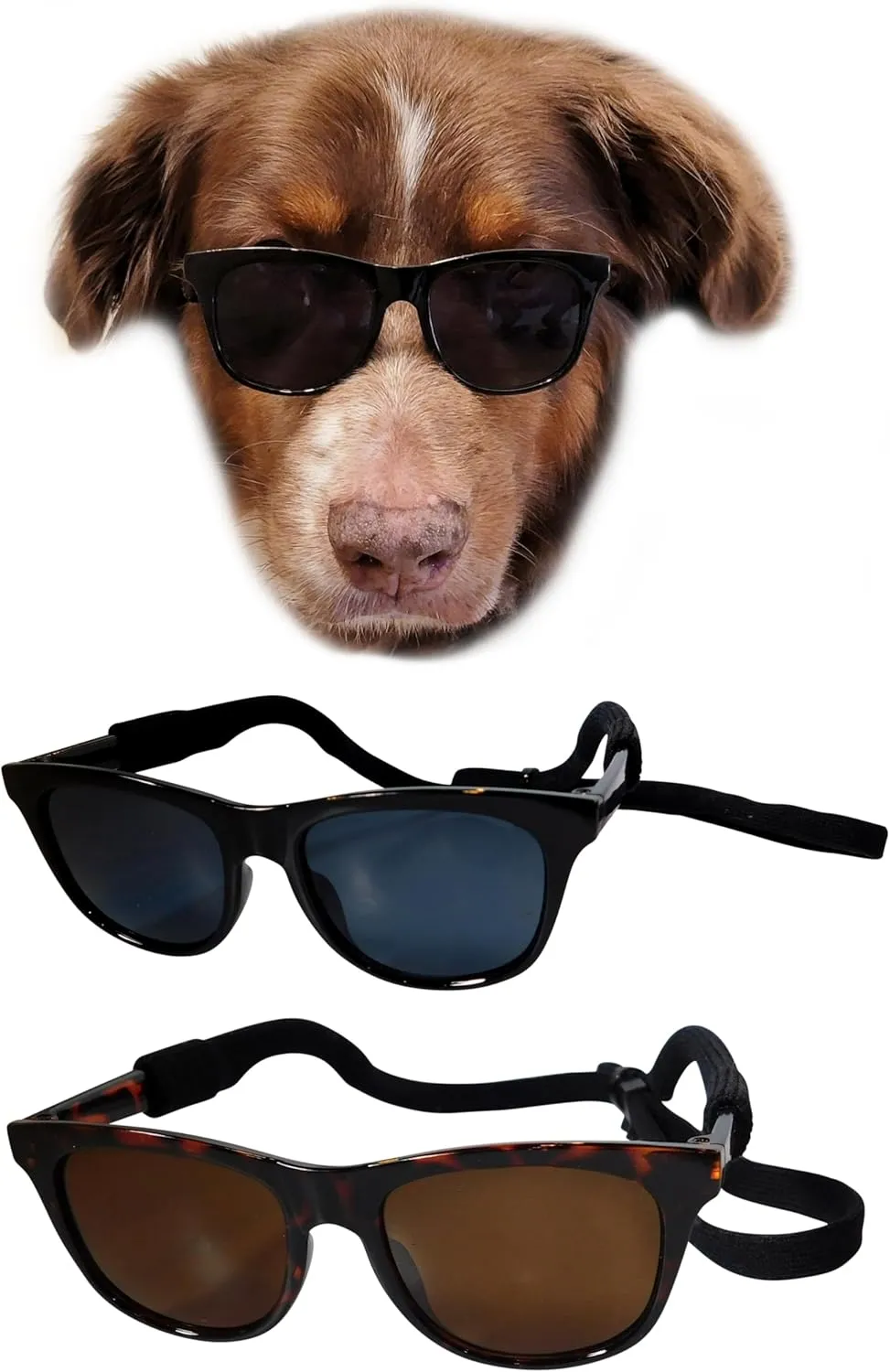 G006 Dog Pet 80s Costume Sunglasses Prop Photoshoot Medium Breeds 20-40 lbs (2-Pack Black Tortoise Brown)