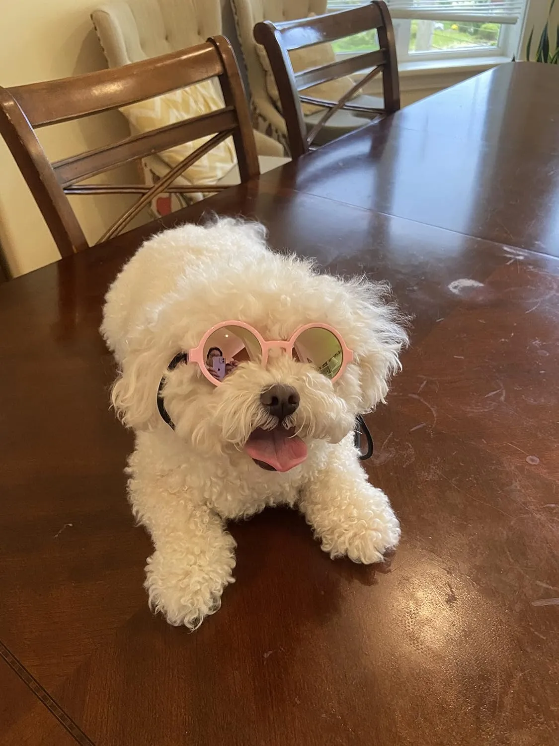 G016 Dog Cat Pet Round Sunglasses Goggles for Small Breed Dogs up to 15lbs (2-Pack Black   Pink-Pink mr)
