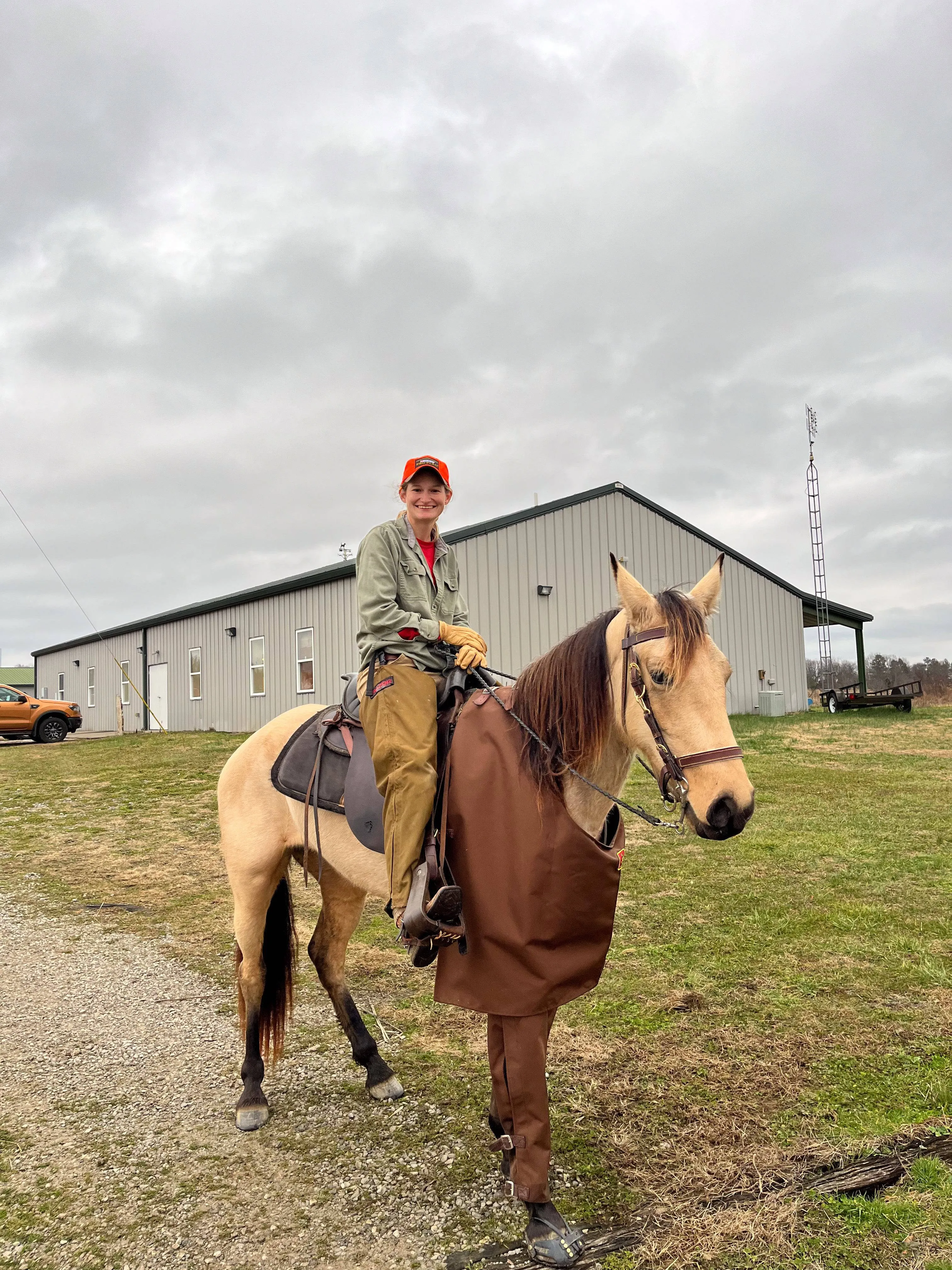 Mule Briarproof Chaps for Horses or Mules