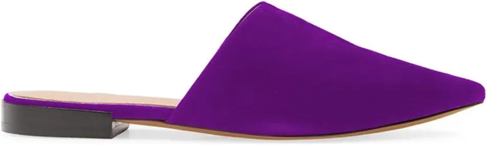 Women Fashion Suede Mules, Sexy Closed Pointed Toe Flat Loafer, Low Heel Backless Mule Sandals, V Cut Lightweight Slip on Walking Shoes for Ladies, Elegant Dress Casual Slippers, Full Size 4-16 M US